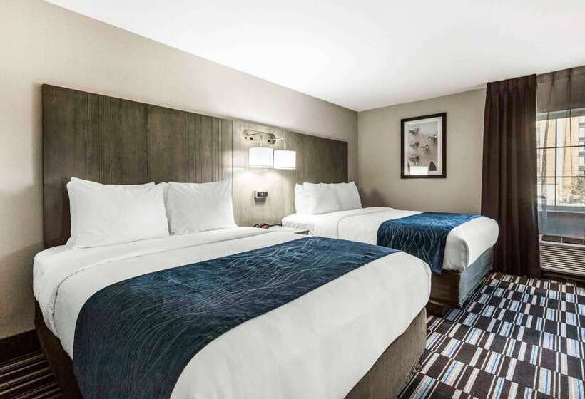 酒店 Comfort Inn Airport