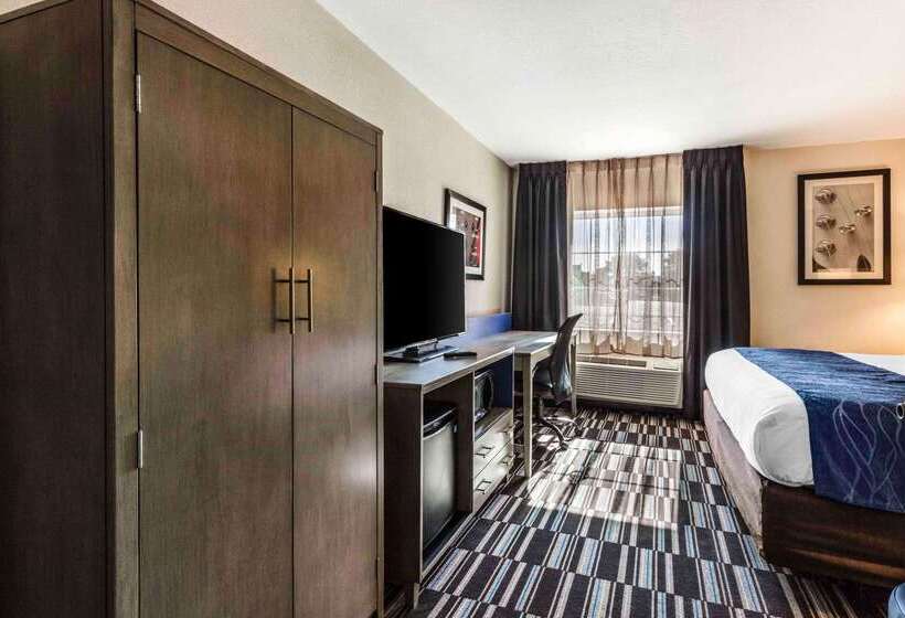 酒店 Comfort Inn Airport