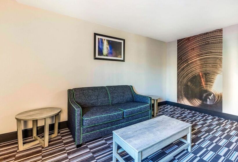 酒店 Comfort Inn Airport