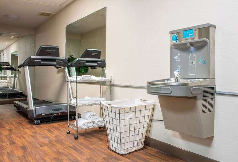 فندق Comfort Inn