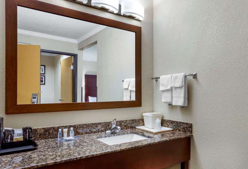 فندق Comfort Inn Hoffman Estates  Schaumburg