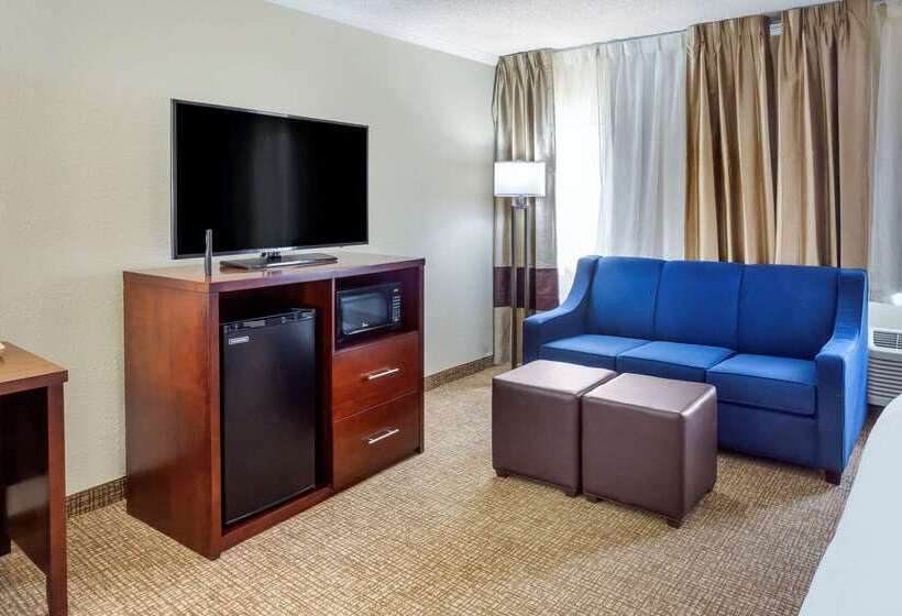 فندق Comfort Inn Hoffman Estates  Schaumburg