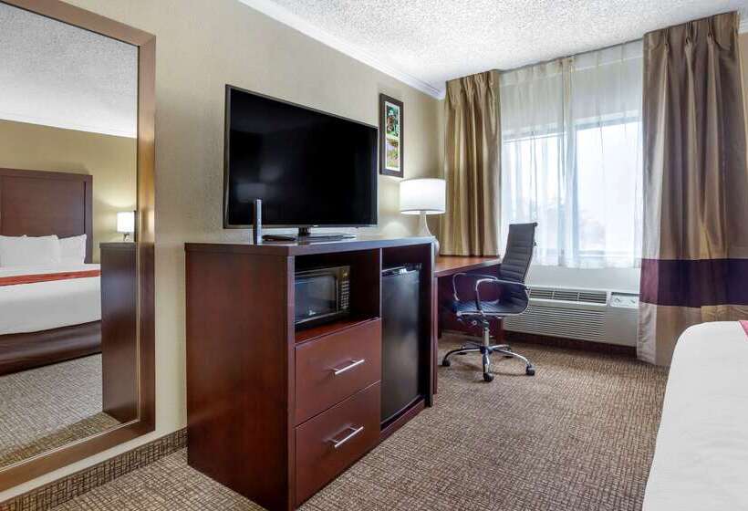 فندق Comfort Inn Hoffman Estates  Schaumburg