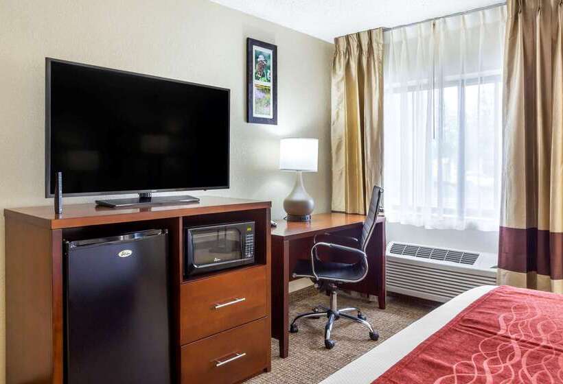فندق Comfort Inn Hoffman Estates  Schaumburg