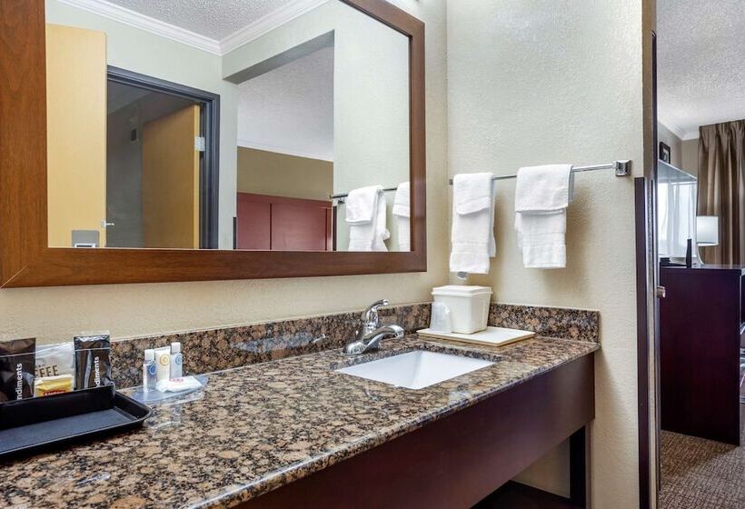 فندق Comfort Inn Hoffman Estates  Schaumburg