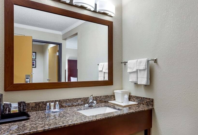 فندق Comfort Inn Hoffman Estates  Schaumburg