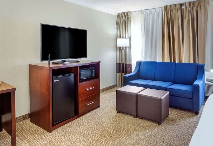 فندق Comfort Inn Hoffman Estates  Schaumburg