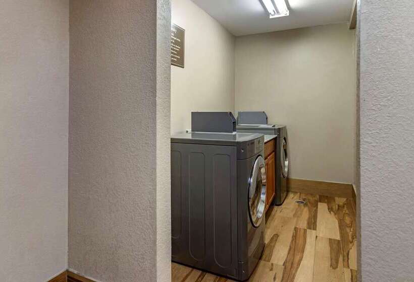 ホテル Comfort Inn Midtown