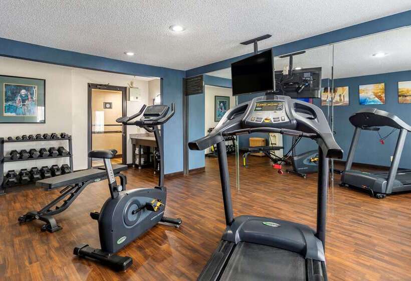 ホテル Comfort Inn Midtown