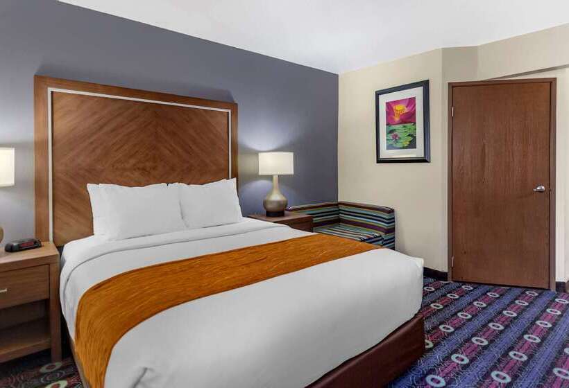 ホテル Comfort Inn Midtown