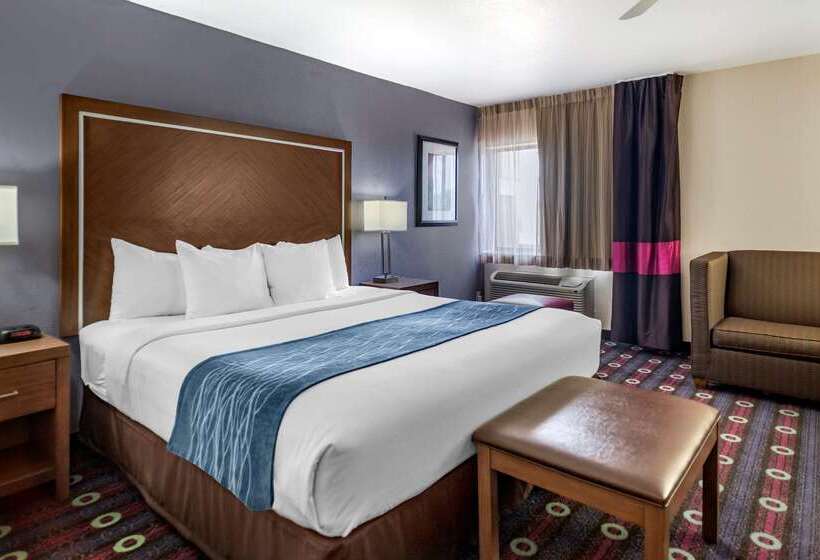 ホテル Comfort Inn Midtown