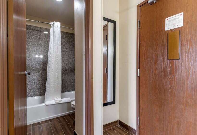 ホテル Comfort Inn Midtown