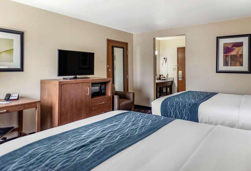 ホテル Comfort Inn Midtown