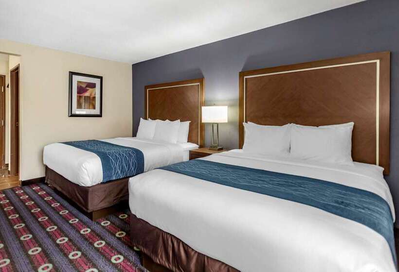 ホテル Comfort Inn Midtown