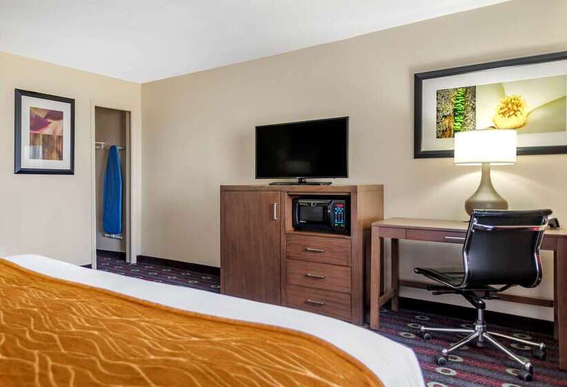 ホテル Comfort Inn Midtown