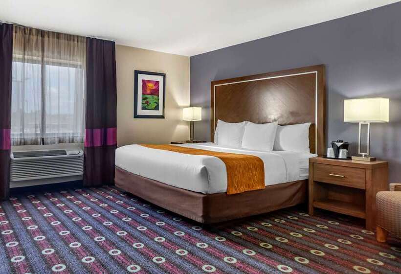 ホテル Comfort Inn Midtown