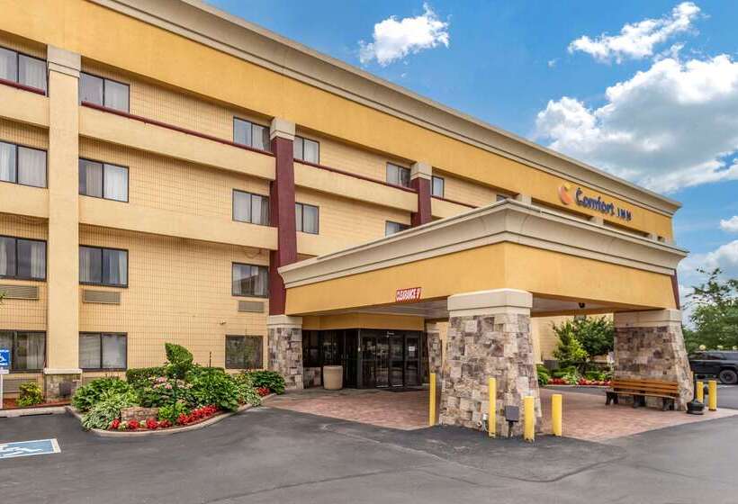 ホテル Comfort Inn Midtown