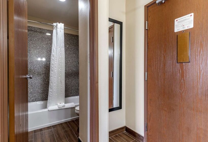 ホテル Comfort Inn Midtown