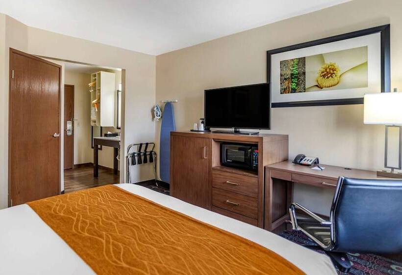 ホテル Comfort Inn Midtown