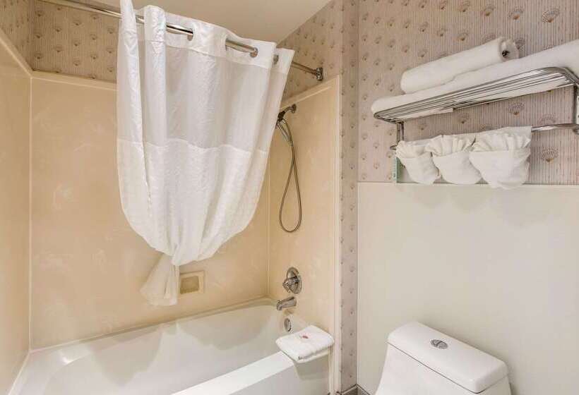 בית מלון כפרי Comfort Inn Mount Shasta Area