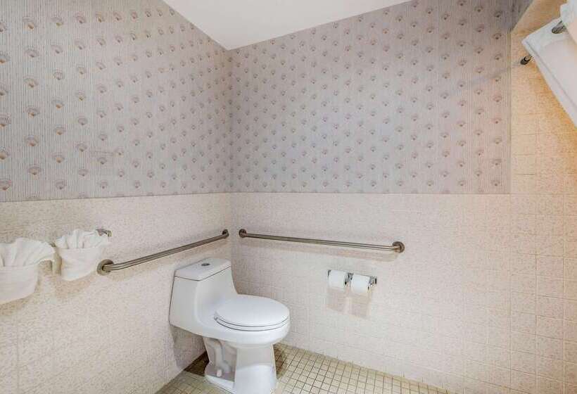 בית מלון כפרי Comfort Inn Mount Shasta Area