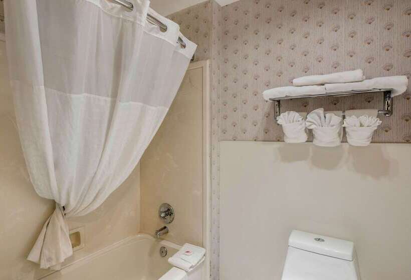 בית מלון כפרי Comfort Inn Mount Shasta Area