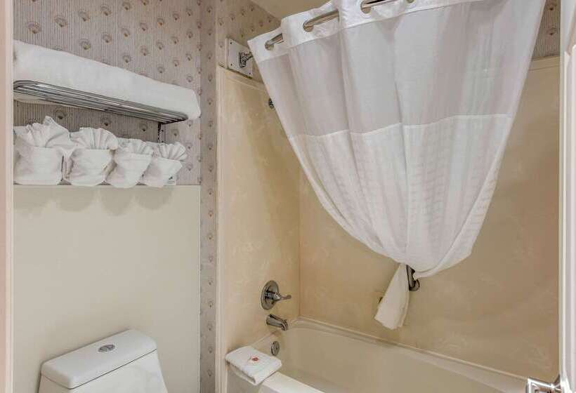 בית מלון כפרי Comfort Inn Mount Shasta Area