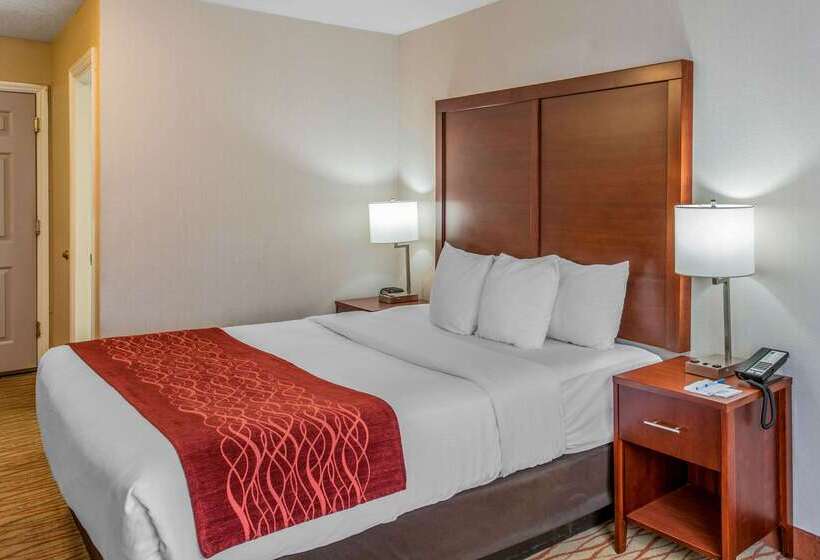 בית מלון כפרי Comfort Inn Mount Shasta Area