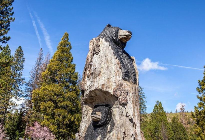 בית מלון כפרי Comfort Inn Mount Shasta Area