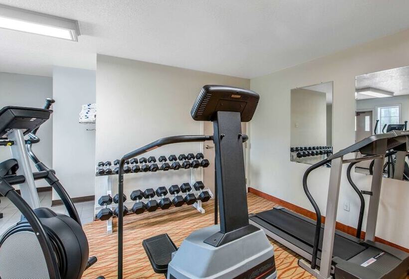 בית מלון כפרי Comfort Inn Mount Shasta Area