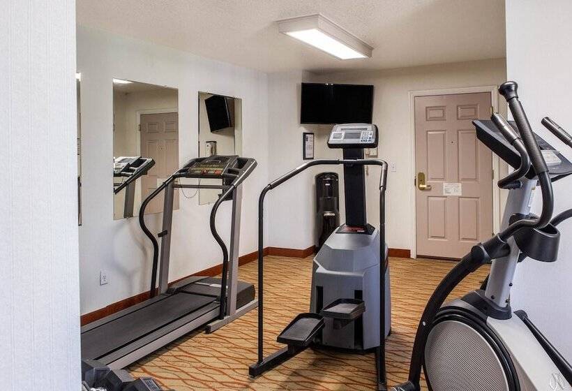 בית מלון כפרי Comfort Inn Mount Shasta Area