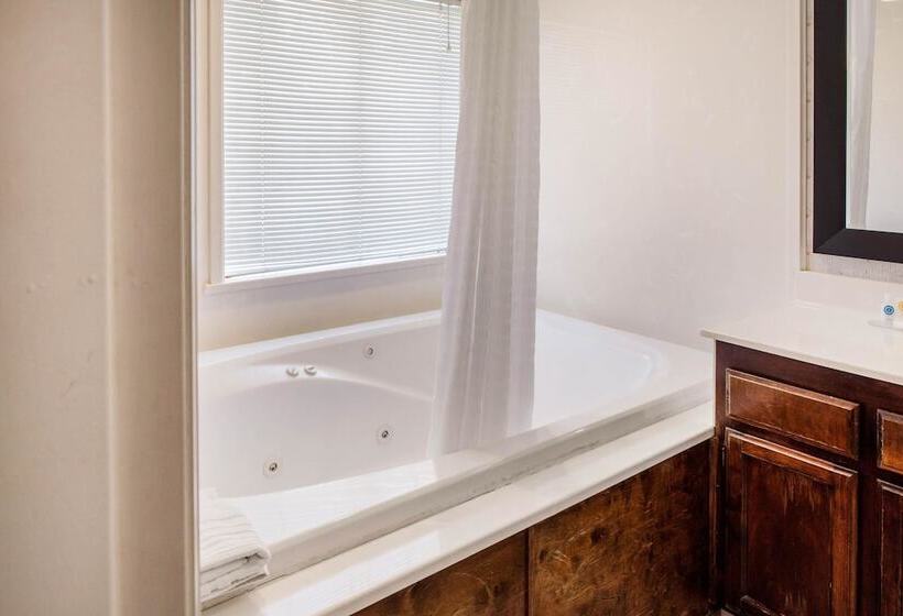 בית מלון כפרי Comfort Inn Mount Shasta Area