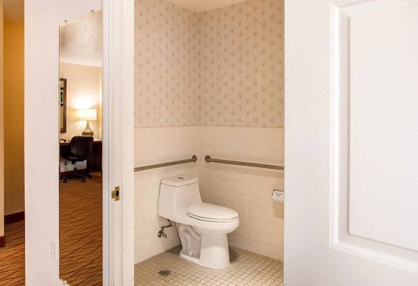 בית מלון כפרי Comfort Inn Mount Shasta Area