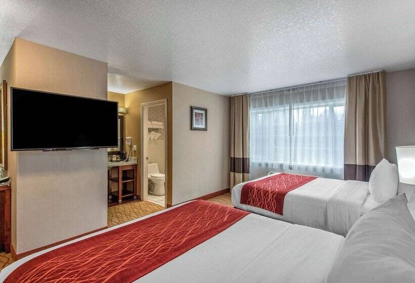 בית מלון כפרי Comfort Inn Mount Shasta Area