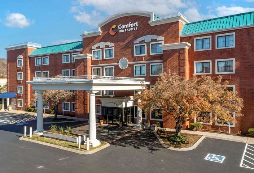 فندق Comfort Inn & Suites