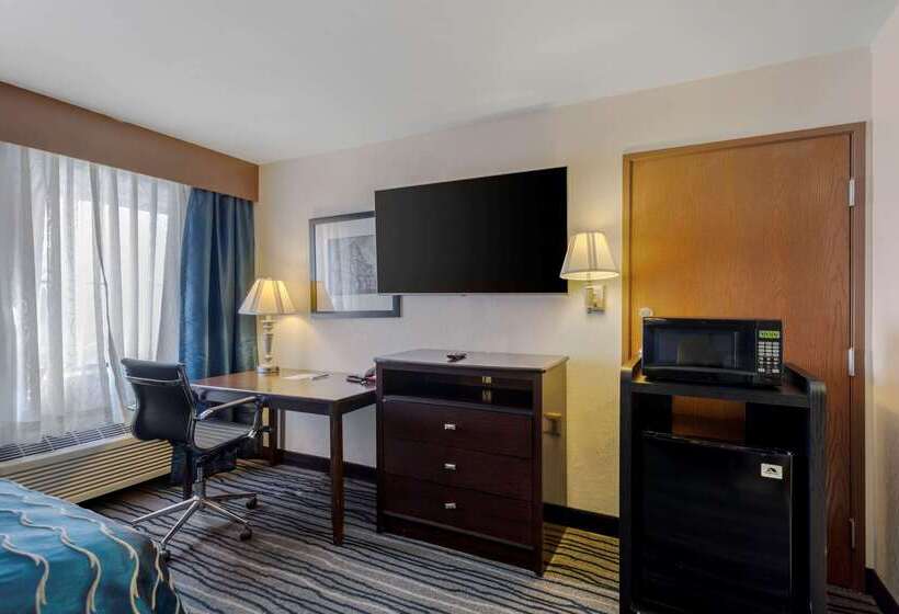 فندق Comfort Inn & Suites