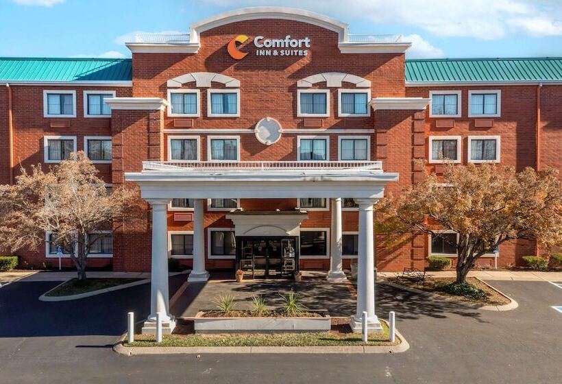 فندق Comfort Inn & Suites