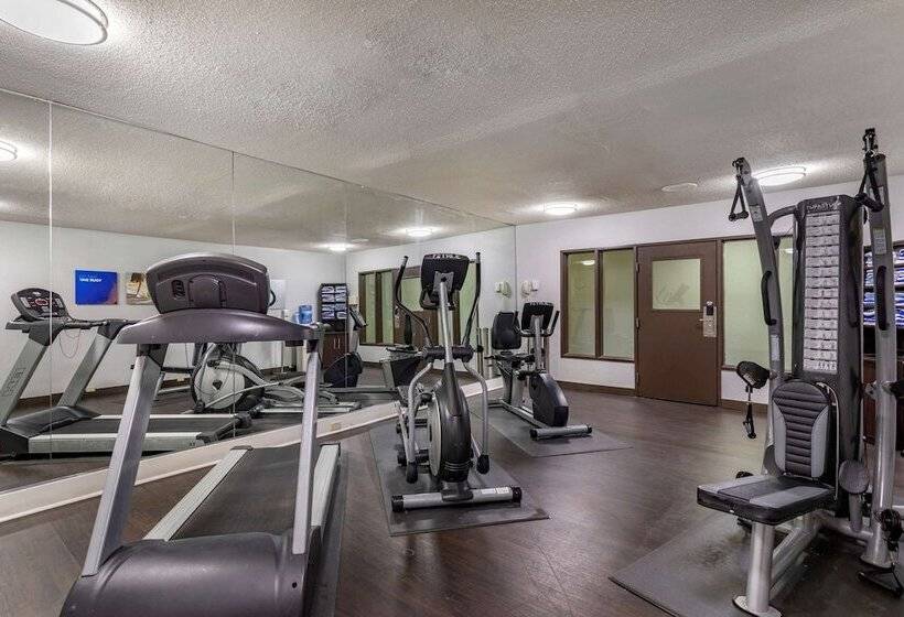 ホテル Comfort Suites Nashville Airport Bna