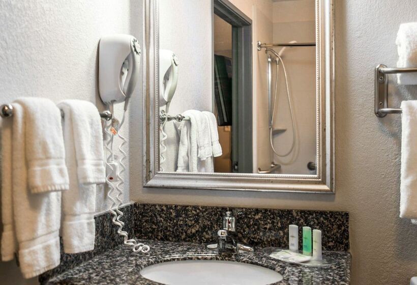 ホテル Comfort Suites Nashville Airport Bna