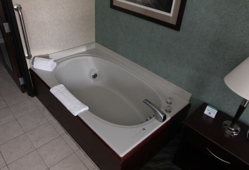 בית מלון כפרי Days Inn & Suites By Wyndham Rochester Hills Mi