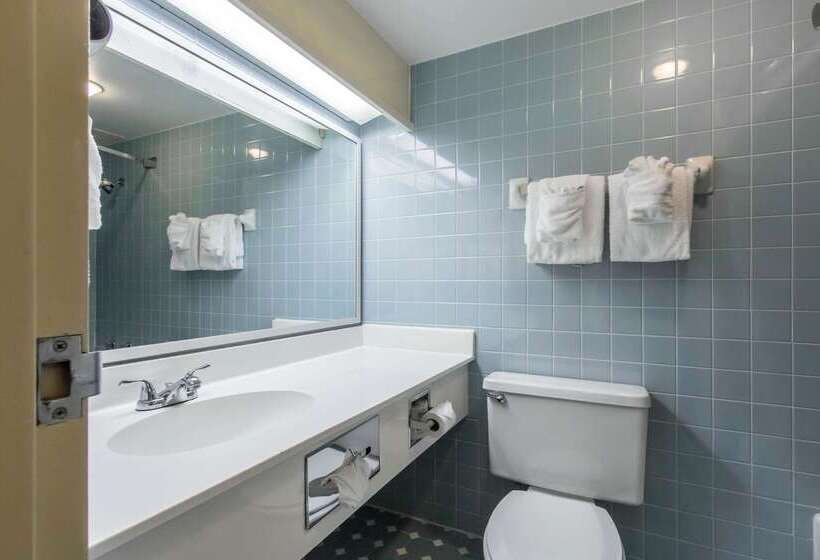 فندق Econo Lodge Inn & Suites Joplin