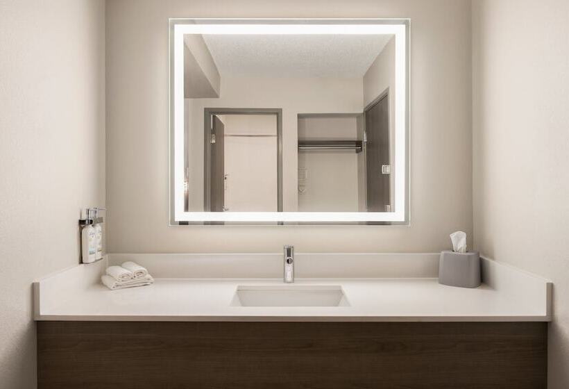 酒店 Holiday Inn Express   Bowling Green, An Ihg