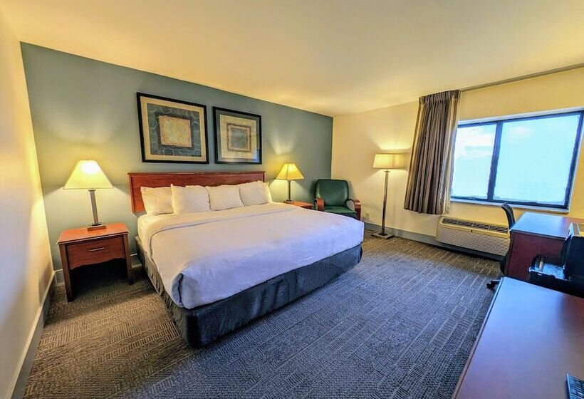فندق La Quinta Inn By Wyndham Chicago Willowbrook