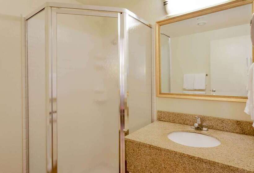 ホテル La Quinta Inn By Wyndham Minneapolis Airport Bloomington