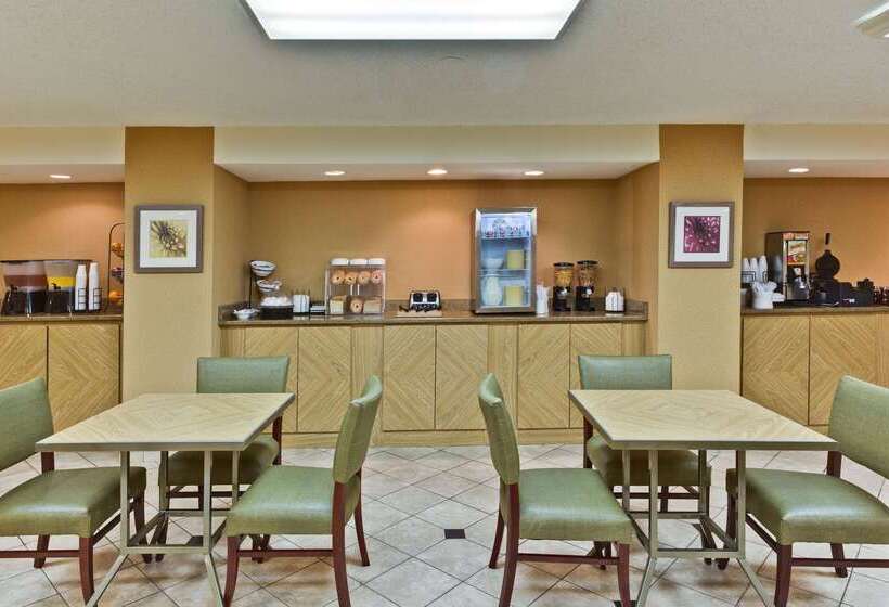 בית מלון כפרי La Quinta Inn By Wyndham Tampa Near Busch Gardens