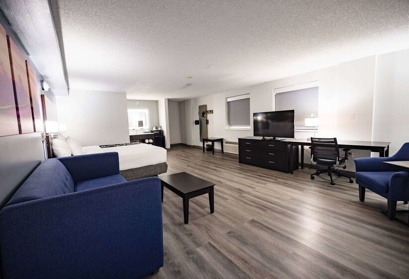 בית מלון כפרי La Quinta Inn By Wyndham Tampa Near Busch Gardens