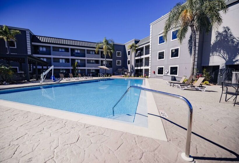 בית מלון כפרי La Quinta Inn By Wyndham Tampa Near Busch Gardens