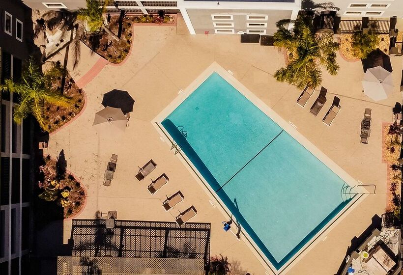 בית מלון כפרי La Quinta Inn By Wyndham Tampa Near Busch Gardens