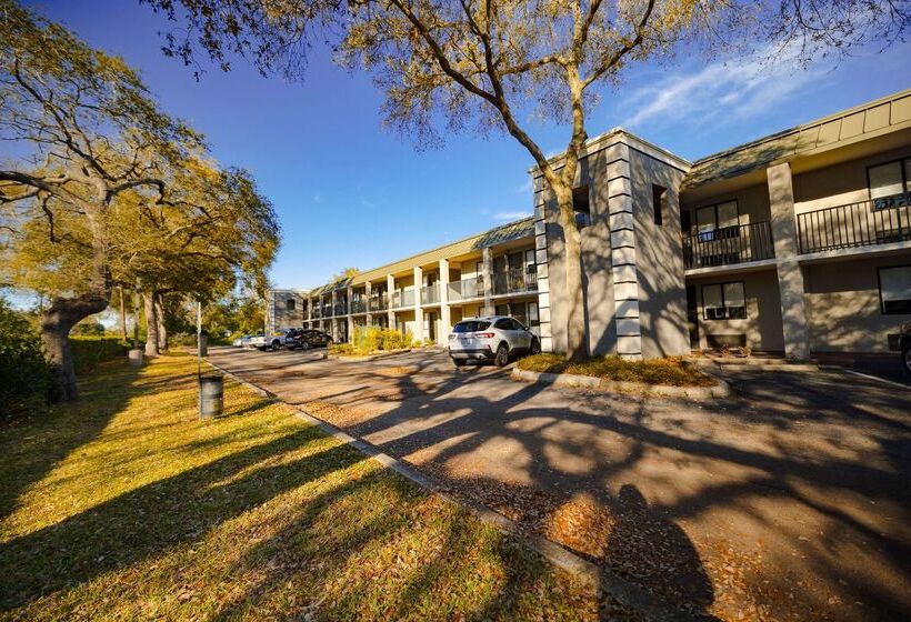 בית מלון כפרי La Quinta Inn By Wyndham Tampa Near Busch Gardens