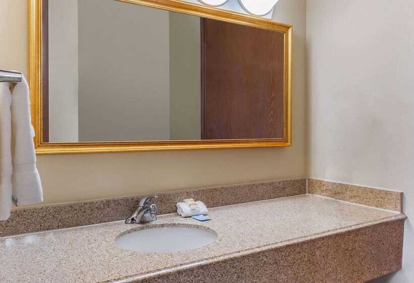 酒店 La Quinta Inn & Suites By Wyndham Las Cruces Organ Mountain